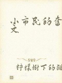 小市民的奋斗燃文