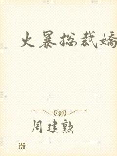 火暴总裁娇柔妻