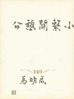 公憩关系小说