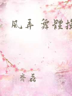 风弄 舞体投递