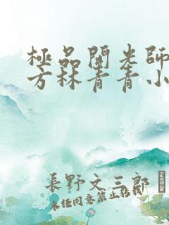 极品开光师李南方林青青小说免费阅读