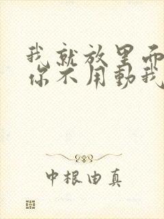 我就放里面不动你不用动我动