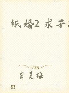 纸婚2 求子记