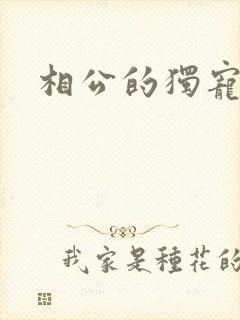 相公的独宠妻子