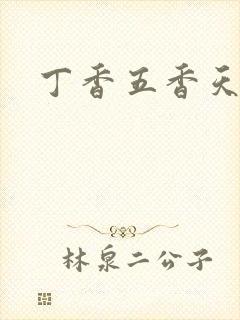 丁香五香天麻豆