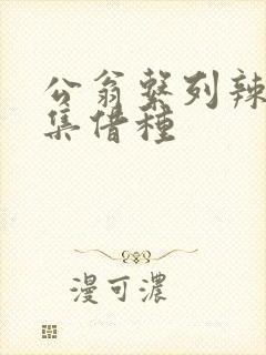 公翁系列辣文全集借种