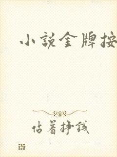 小说金牌按摩师