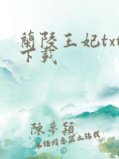 兰陵王妃txt下载