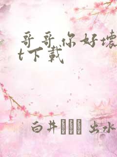 哥哥你好坏txt下载