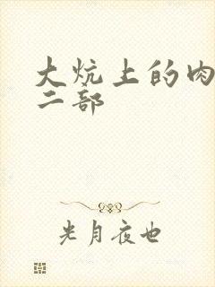大炕上的肉伦第二部