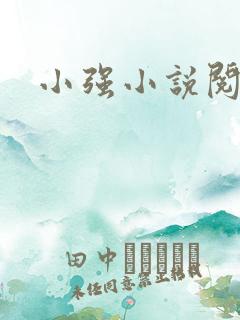 小强小说阅读网