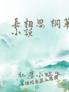 长相思 桐华 小说