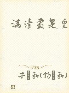 满清尽是皇阿哥