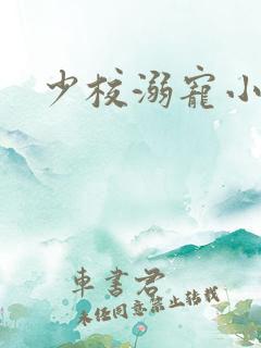 少校溺宠小小妻