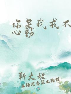 你是我戒不掉的心动