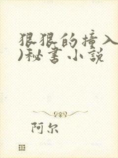 狠狠的撞入(h)秘书小说