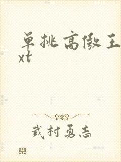 单挑高傲王子txt