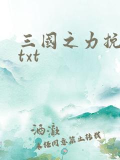 三国之力挽狂澜txt
