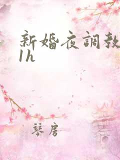 新婚夜调教1v1h