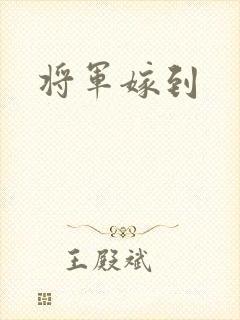 将军嫁到