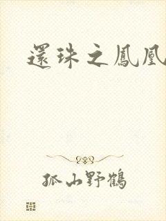 还珠之凤凰重生