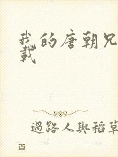 我的唐朝兄弟下载