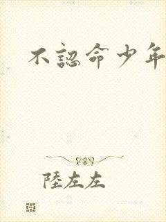 不认命少年向阳