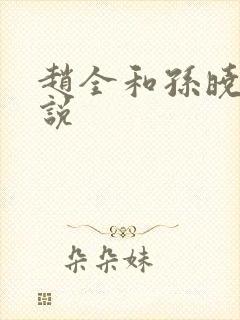 赵全和孙晓云小说