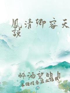凤清卿容天凌小说