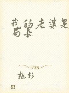 我的老婆是警察局长