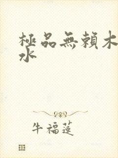 极品无赖木石山水