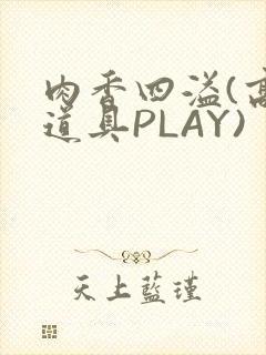 肉香四溢(高H道具PLAY)