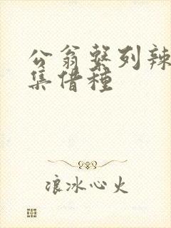 公翁系列辣文全集借种