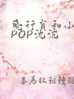 飞行员和小空乘POP沈沉