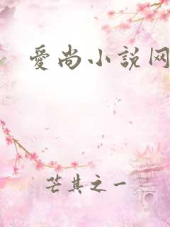 爱尚小说网