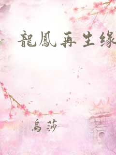 龙凤再生缘
