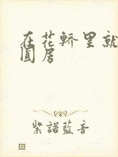 在花轿里就开始圆房