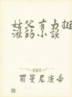 姑父有力挺送徐湫的小说