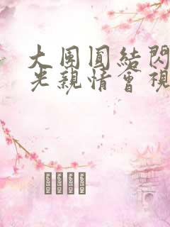 大团圆结闪闪发光亲情会视频