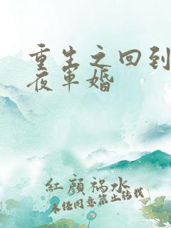 重生之回到新婚夜军婚