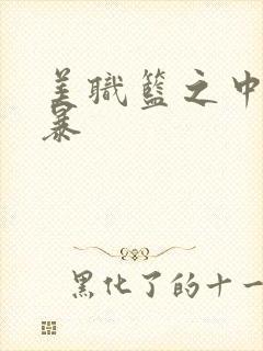 美职篮之中国风暴