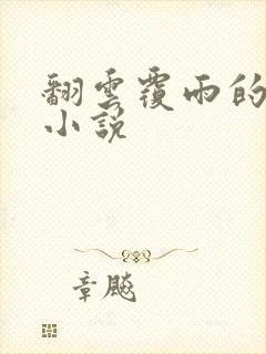 翻云覆雨的秘密小说