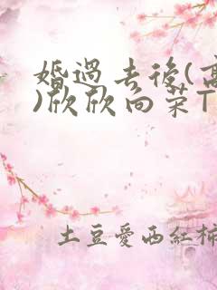 婚过去后(高干)欣欣向荣TXT下载