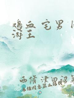 鸡血 宅男 网游王