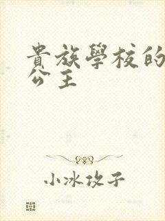 贵族学校的双面公主