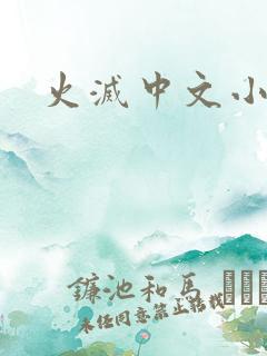 火灭中文小说