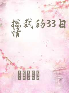 总裁的33日索情