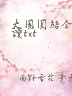 大团圆结全文阅读txt