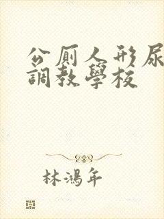 公厕人形尿便器调教学校