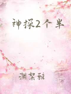 神探2个半
